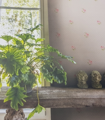 papeis de parede 10.jpg